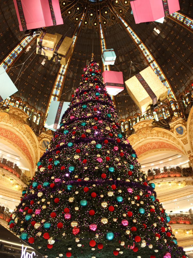 Фотография автора Марина Алексеевская