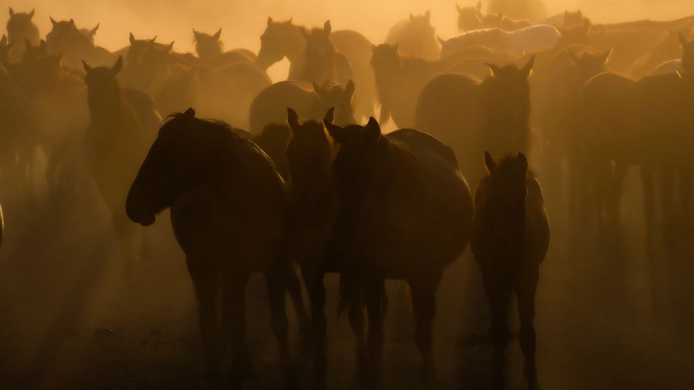 Photograph by Talat Ozel