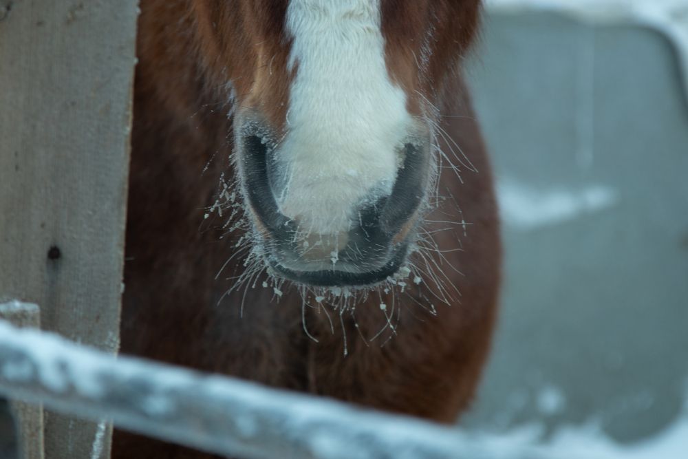 Фотография автора Никита Павлов