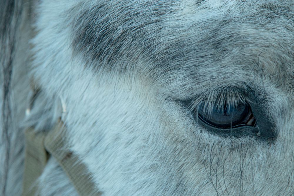 Фотография автора Никита Павлов
