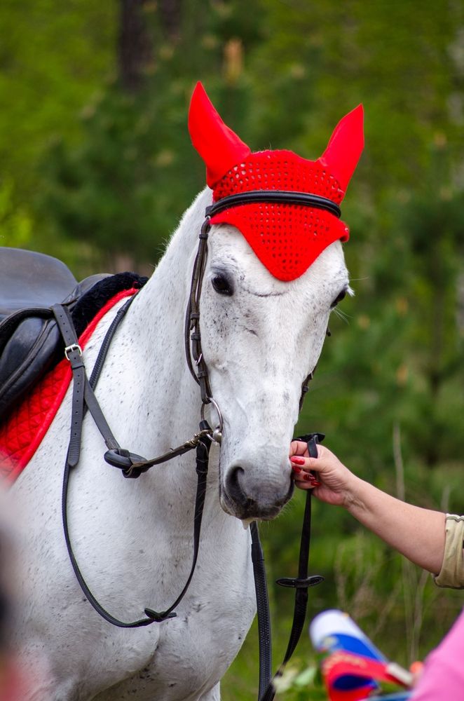 Photograph by Татьяна Жиркина