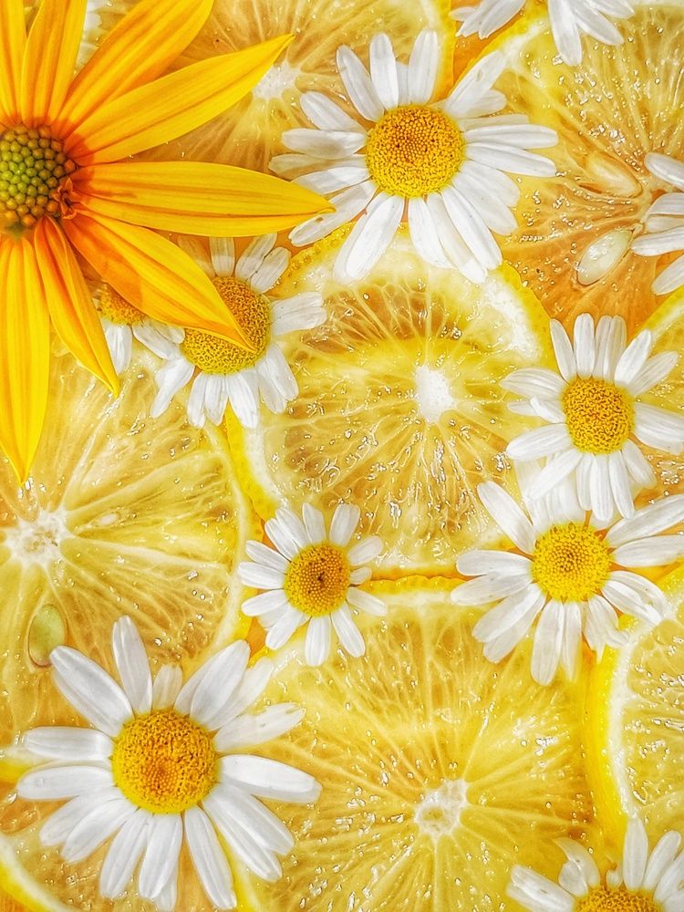 Photograph by Елена