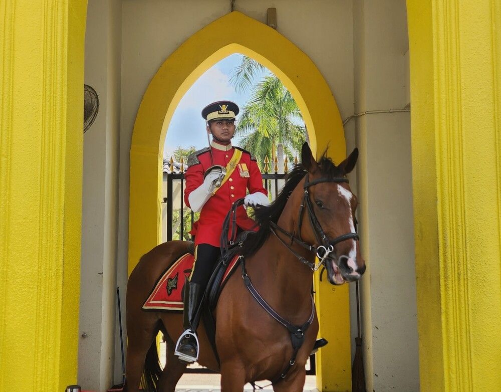 Photograph by G GOVIL