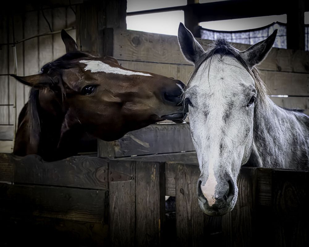 Фотография автора Ray Asiala