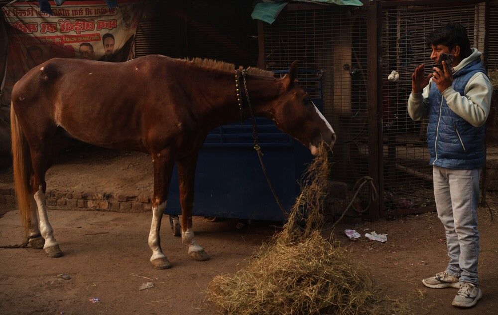 Photograph by G GOVIL