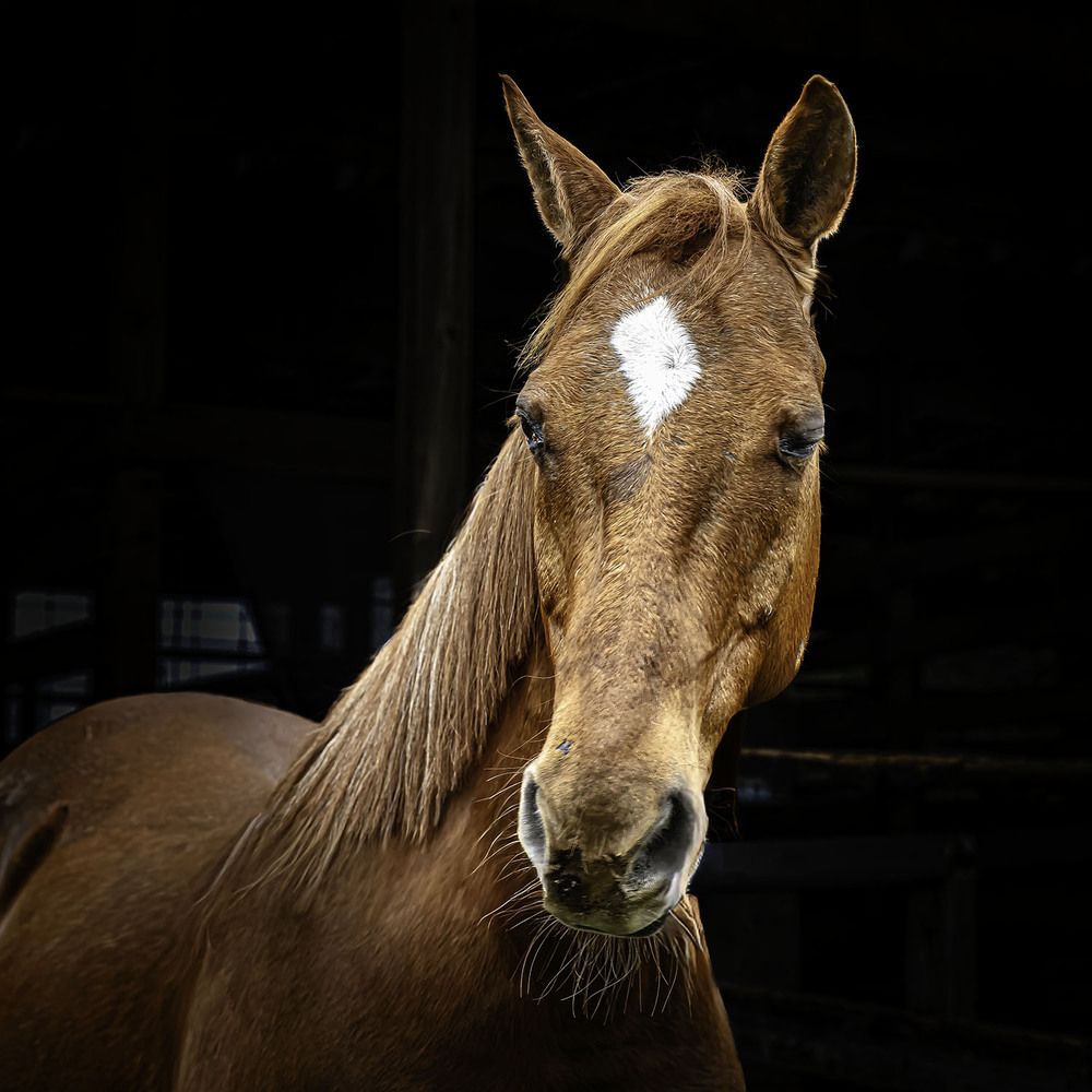 Фотография автора Ray Asiala