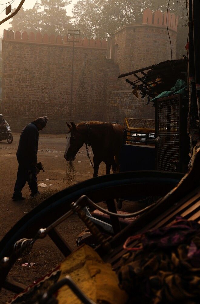 Photograph by G GOVIL