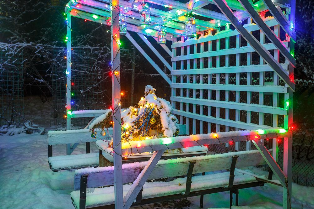 Фотография автора Алексей Трифонов