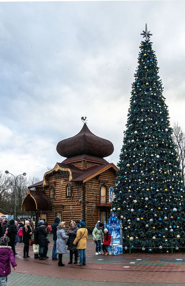 Photograph by Vladimir  Komarov
