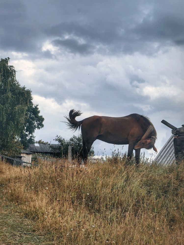 Photograph by OLGA MIKHNEVICH