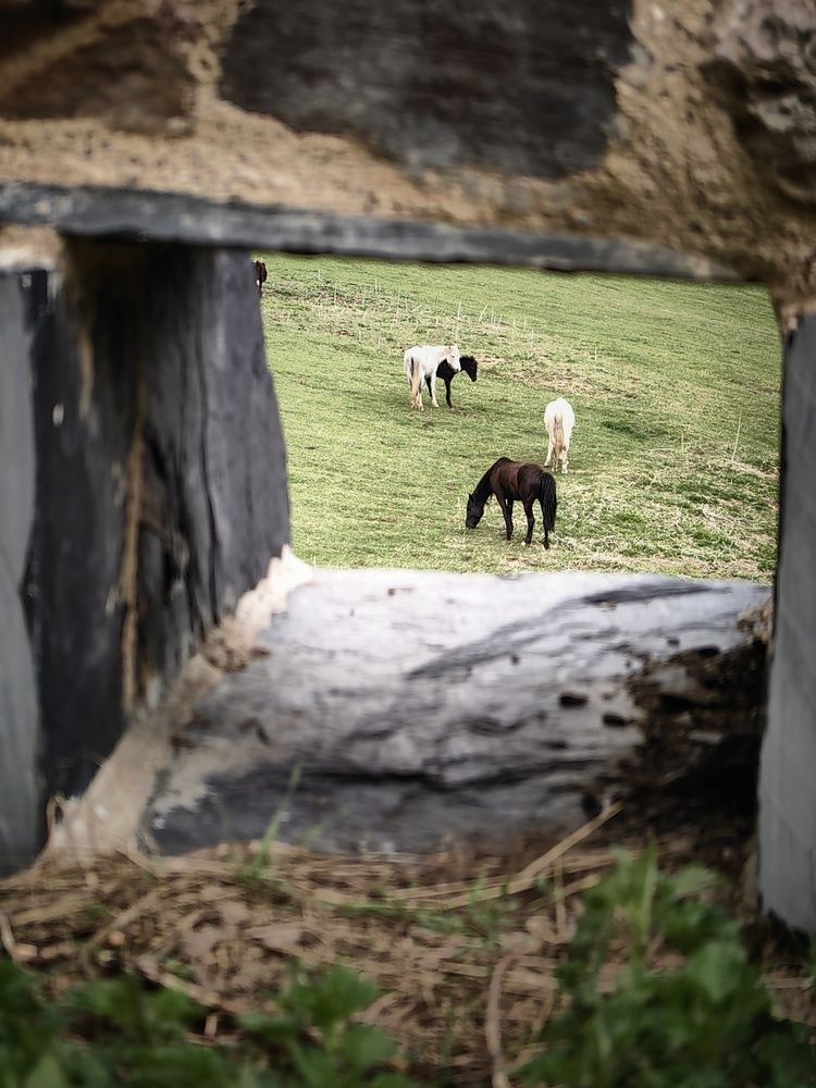 Photograph by OLGA MIKHNEVICH