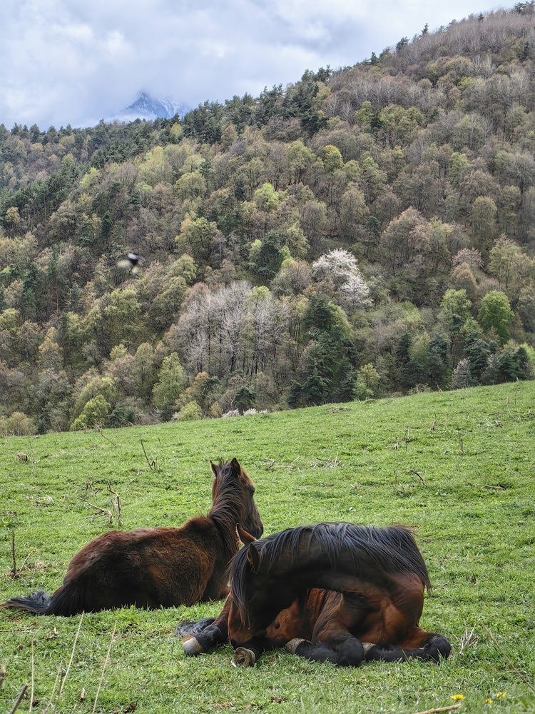 Photograph by OLGA MIKHNEVICH