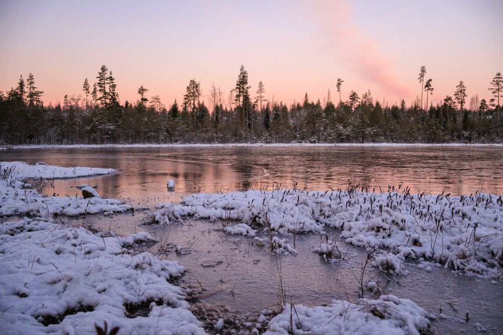 Малиновый рассвет