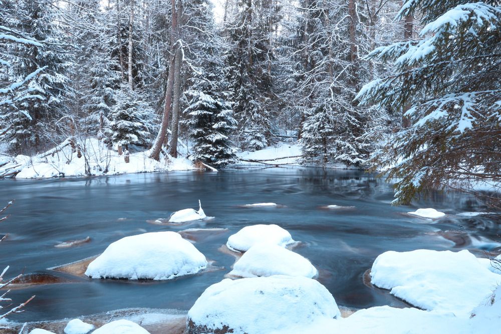 Фотография автора Ярослав Качура