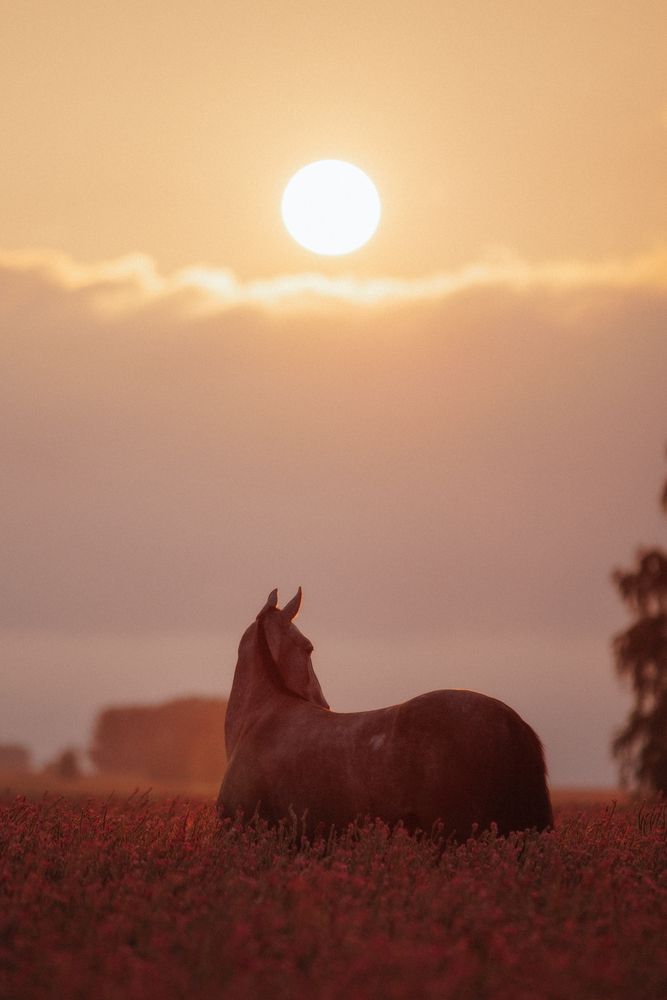 Photograph by Люда Солдатченкова