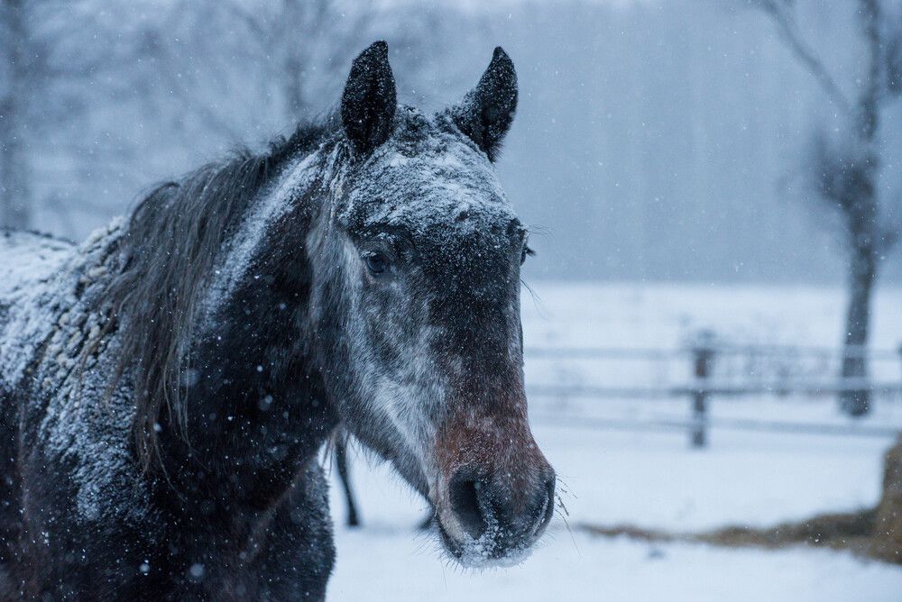 Photograph by Ирина