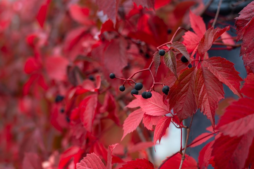 Photograph by Татьяна Жиркина