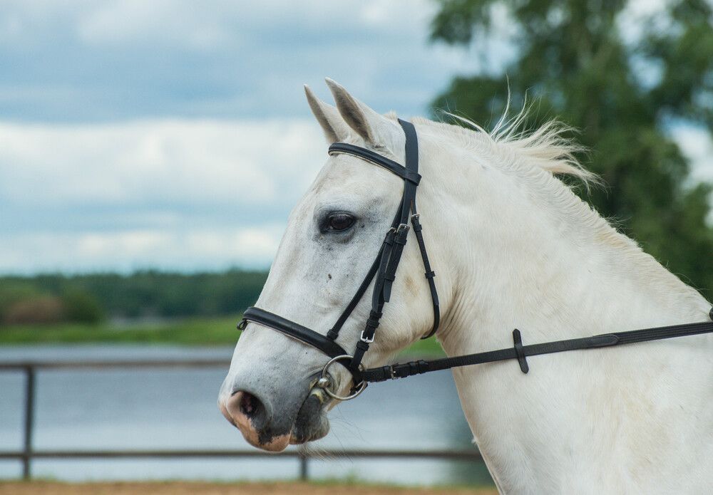 Photograph by Ирина