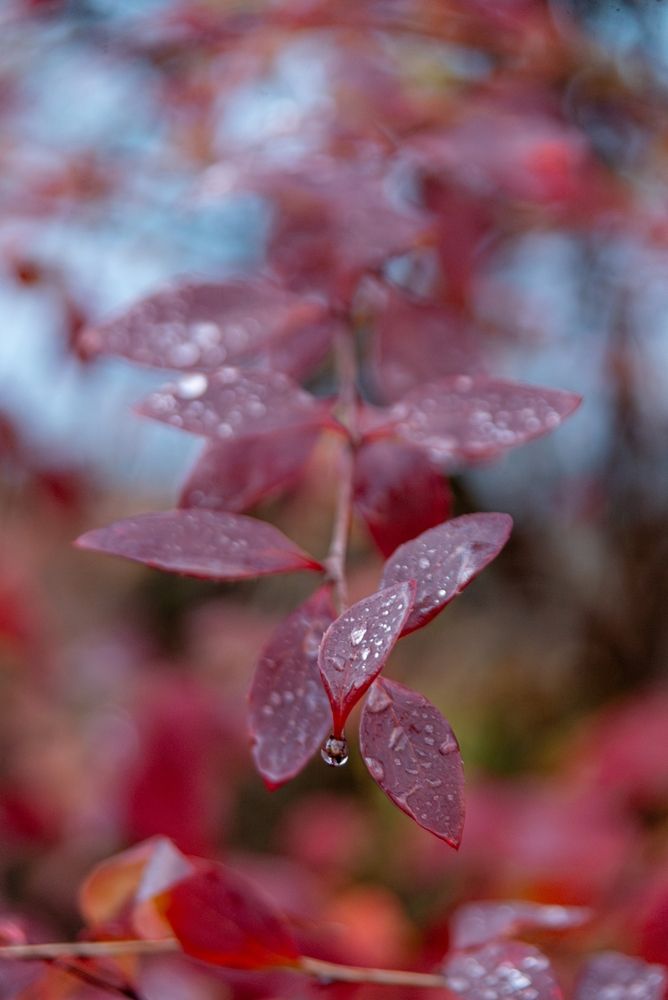 Photograph by Татьяна Жиркина