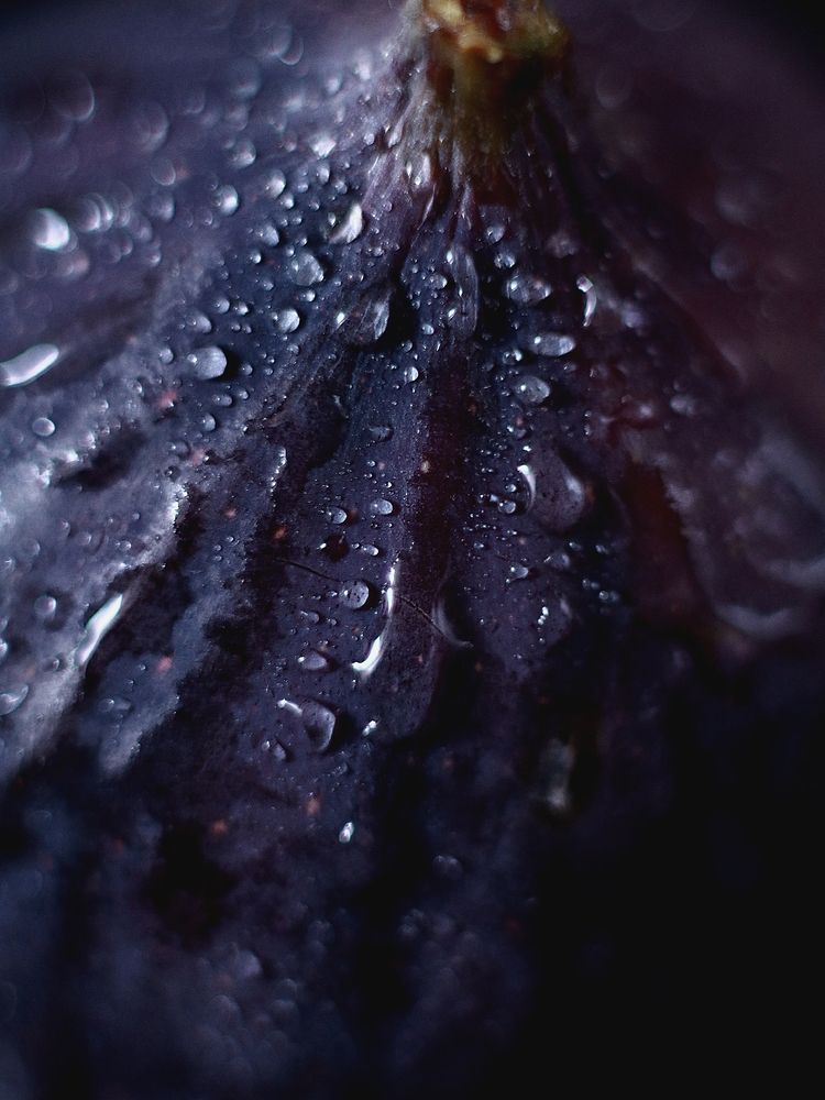 Photograph by Светлана Алехина