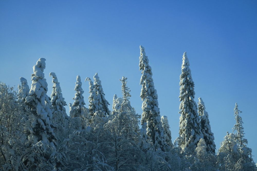 Photograph by Орл Про