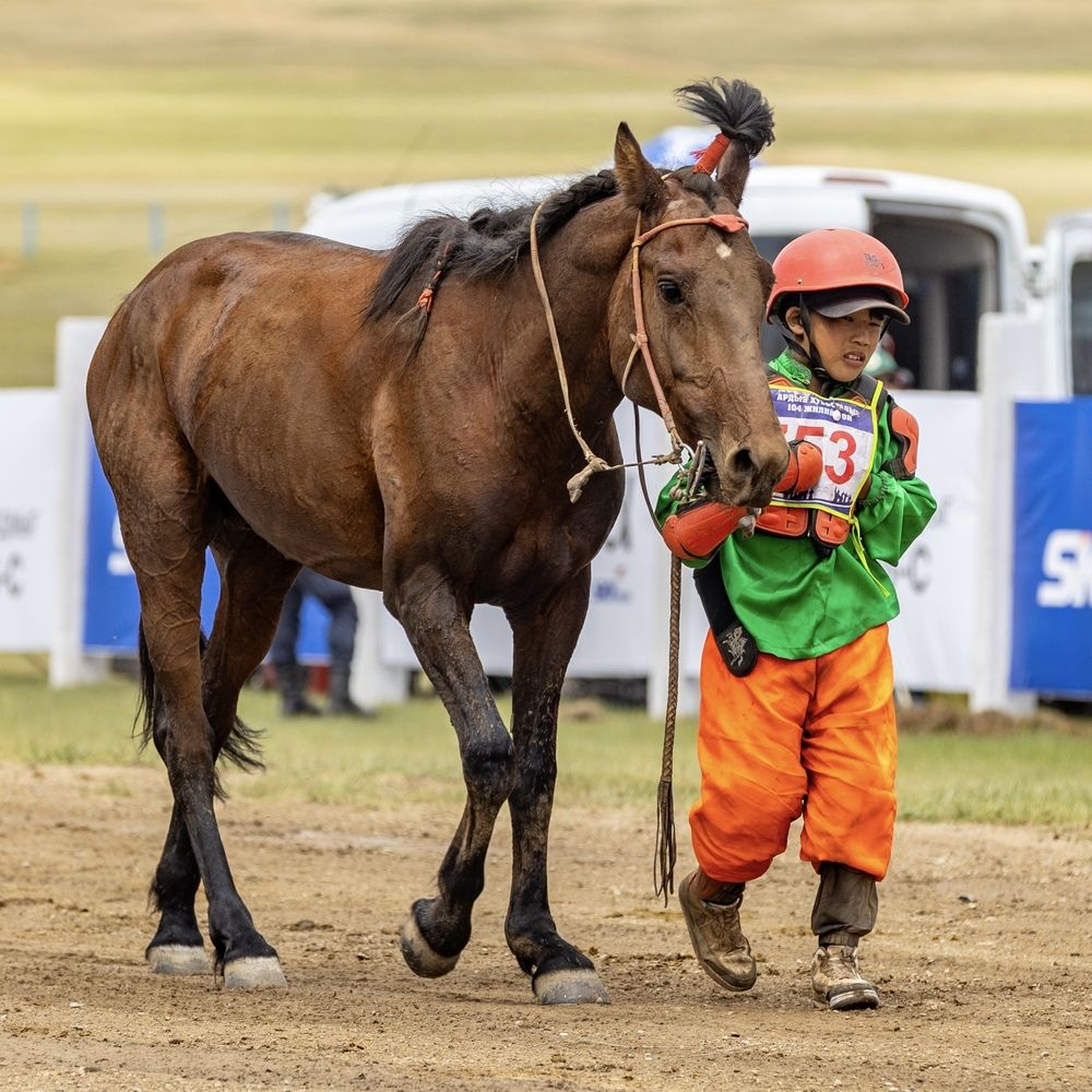 Photograph by Анар Мөнхбаатар