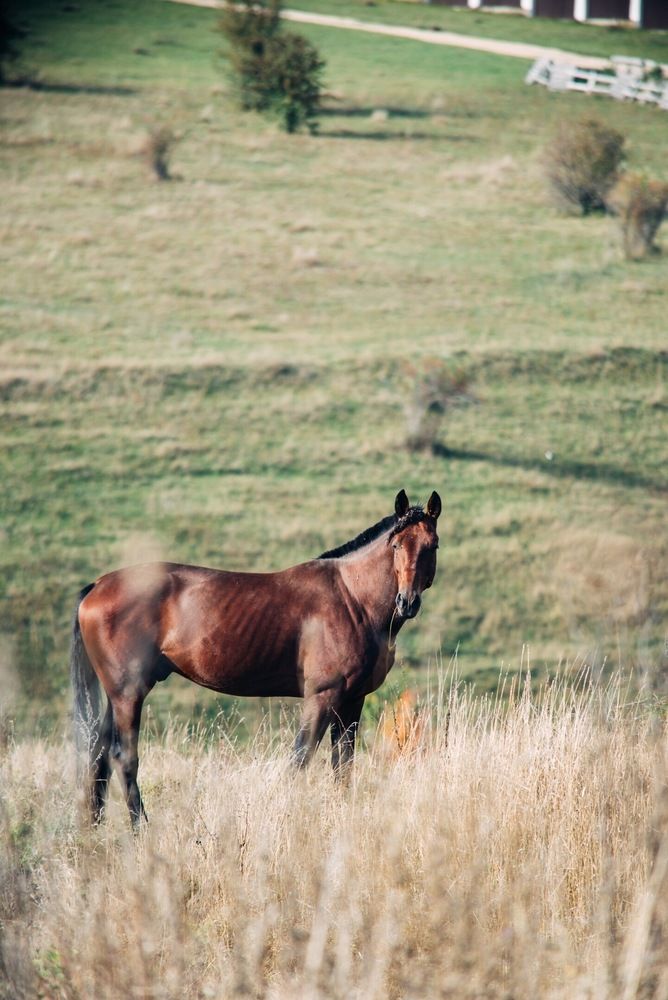 Летний день