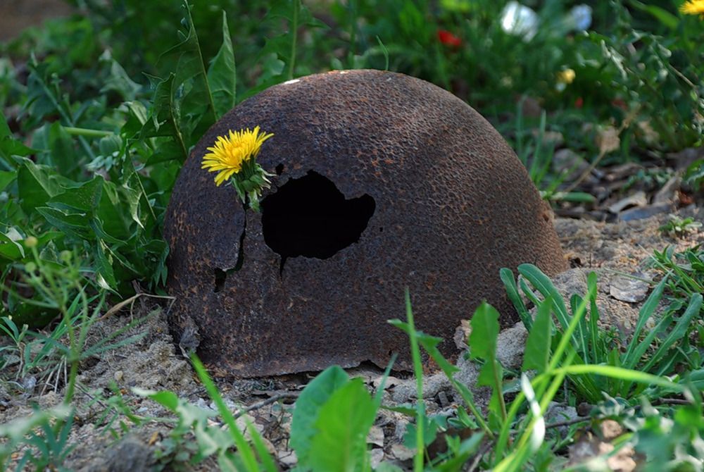 Photograph by Андрей Чуйков