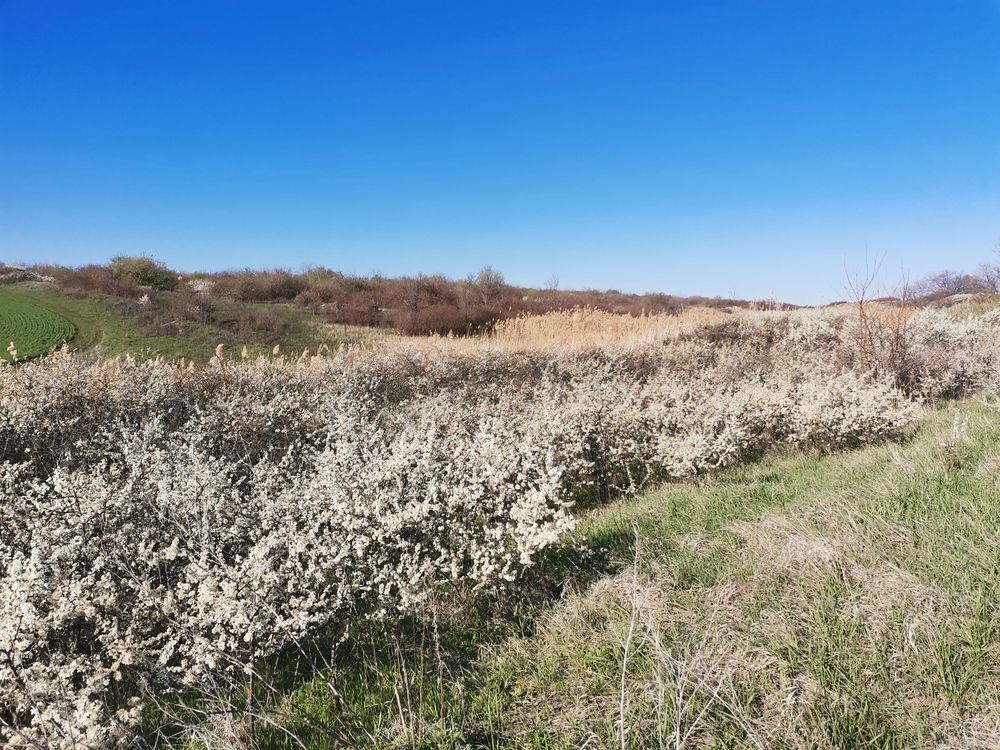 Фотография автора Ольга Давыдова