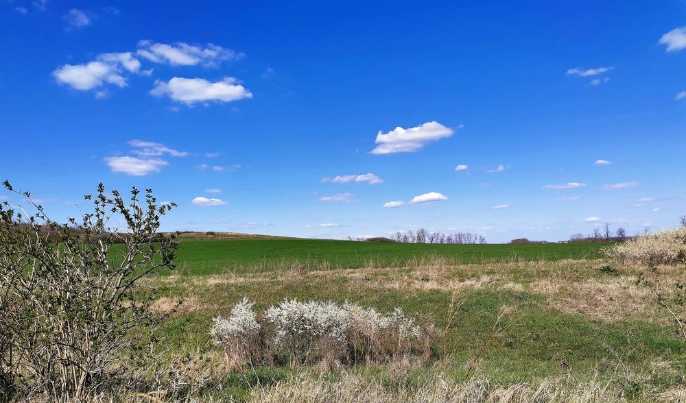 Фотография автора Ольга Давыдова