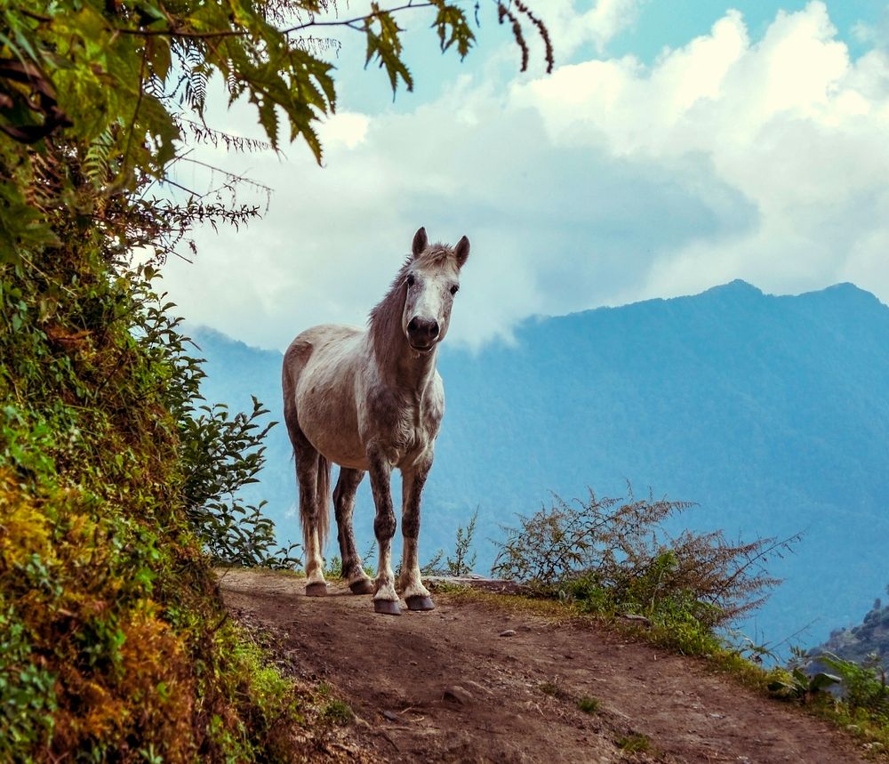 Photograph by Елена Гоосен