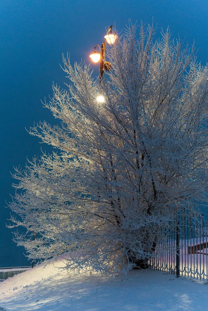 Photograph by Альберт Куулар