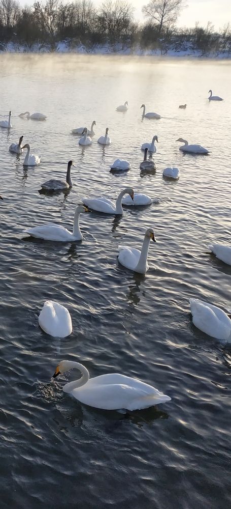 Photograph by Наталья Филянина