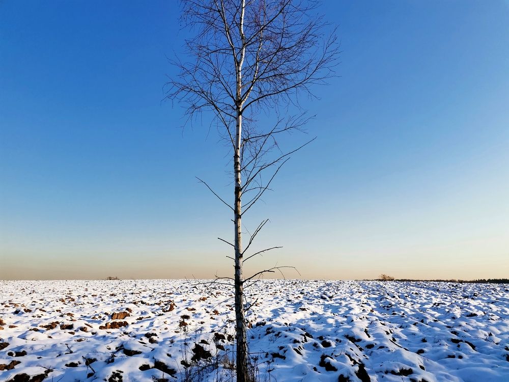Фотография автора Ольга Давыдова