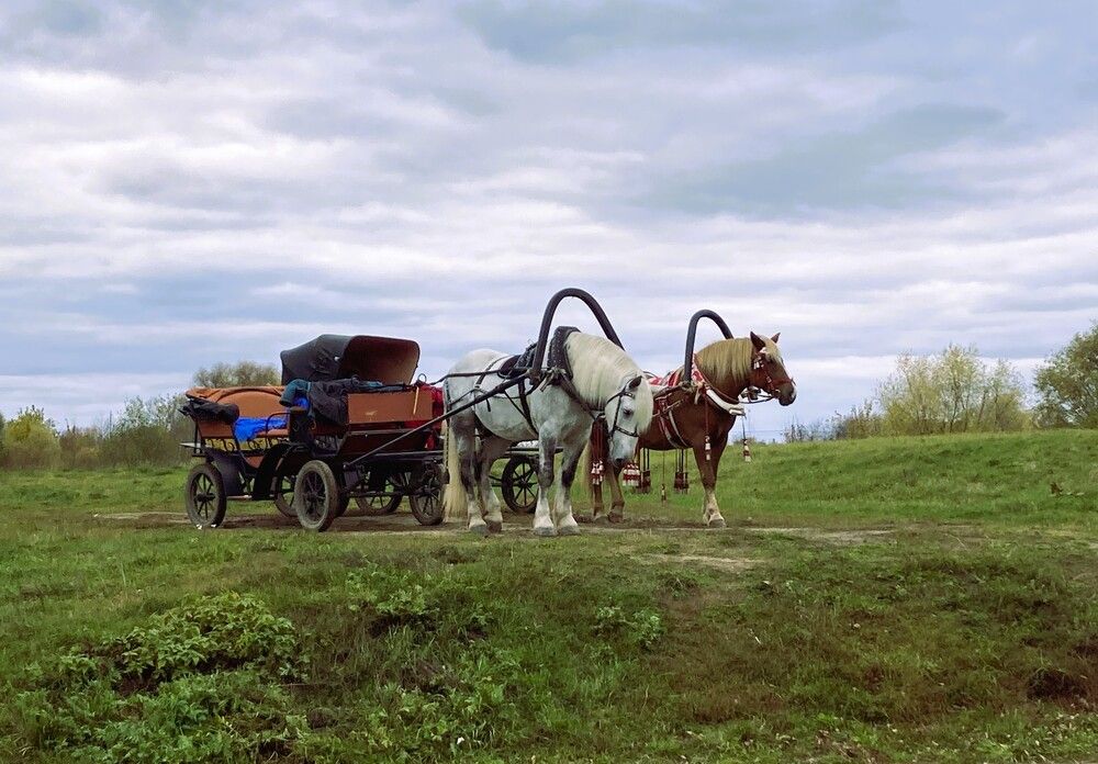 Photograph by Светлана Парамонова