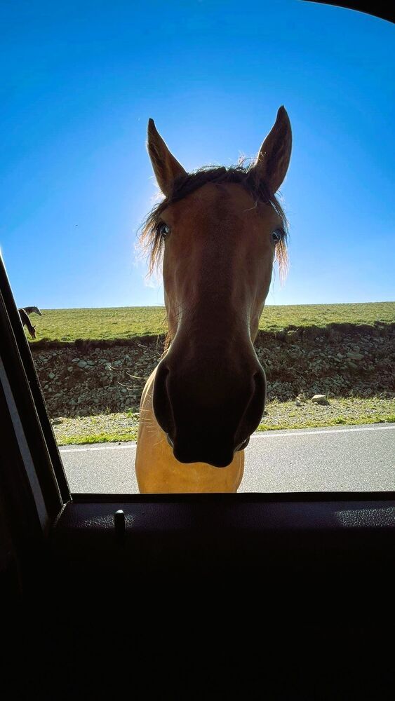 Photograph by Светлана Парамонова