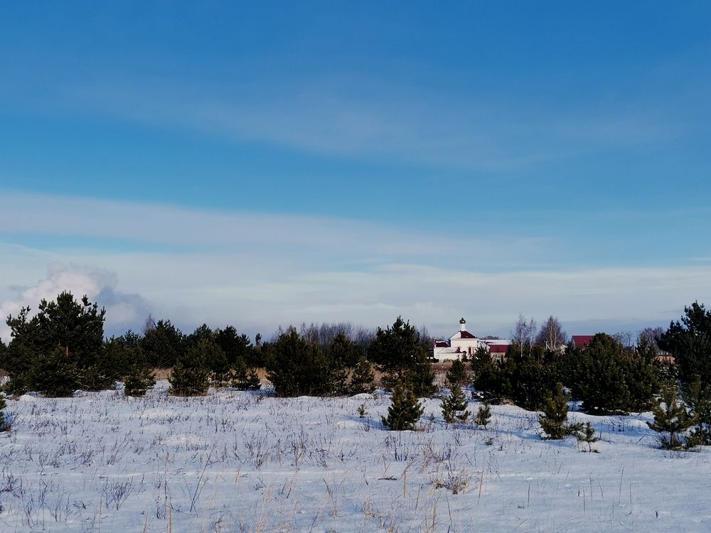 Фотография автора Ольга Давыдова