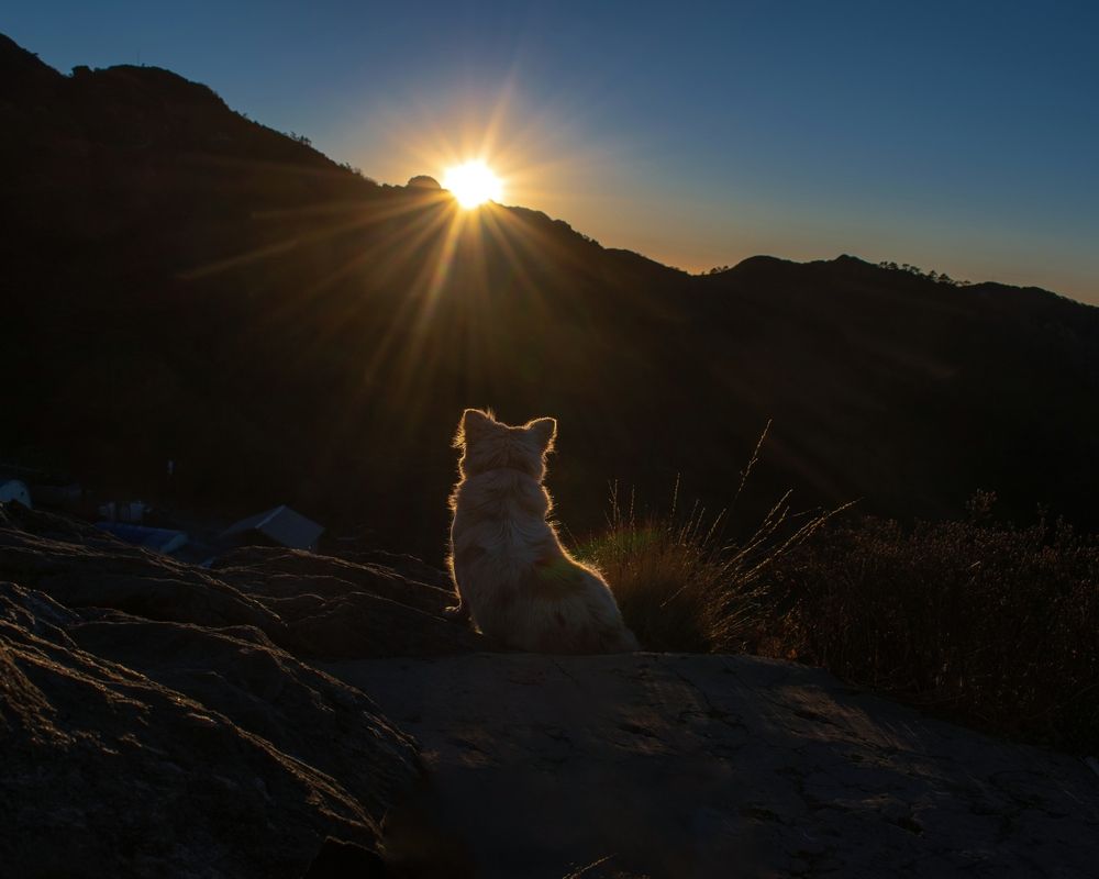 Photograph by Prabhat Ghosh