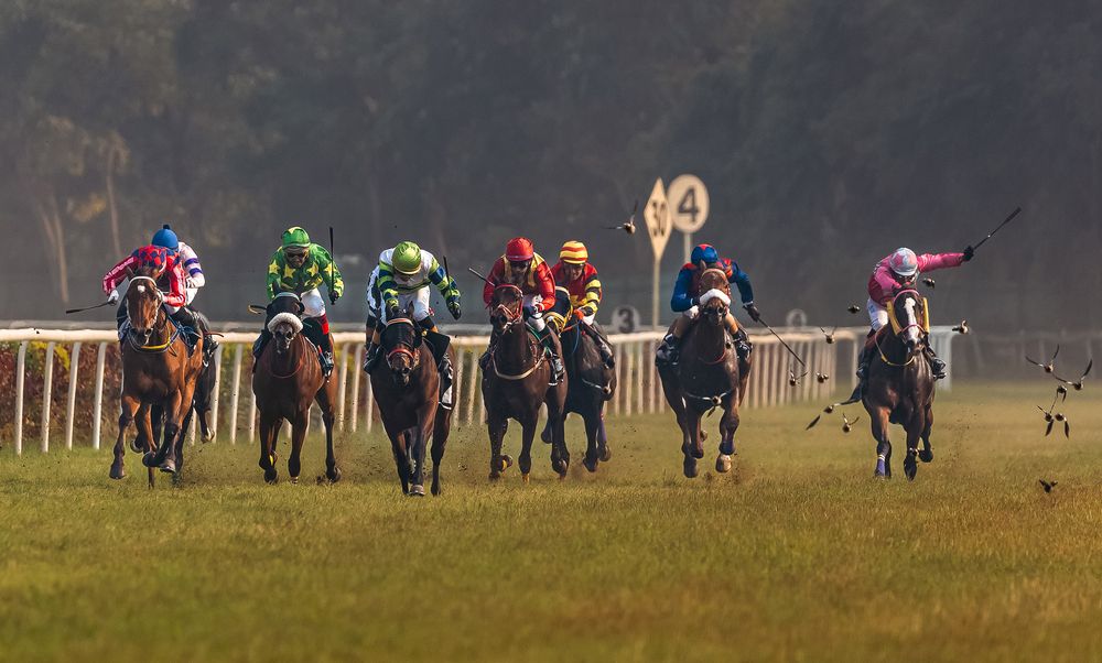 The Race