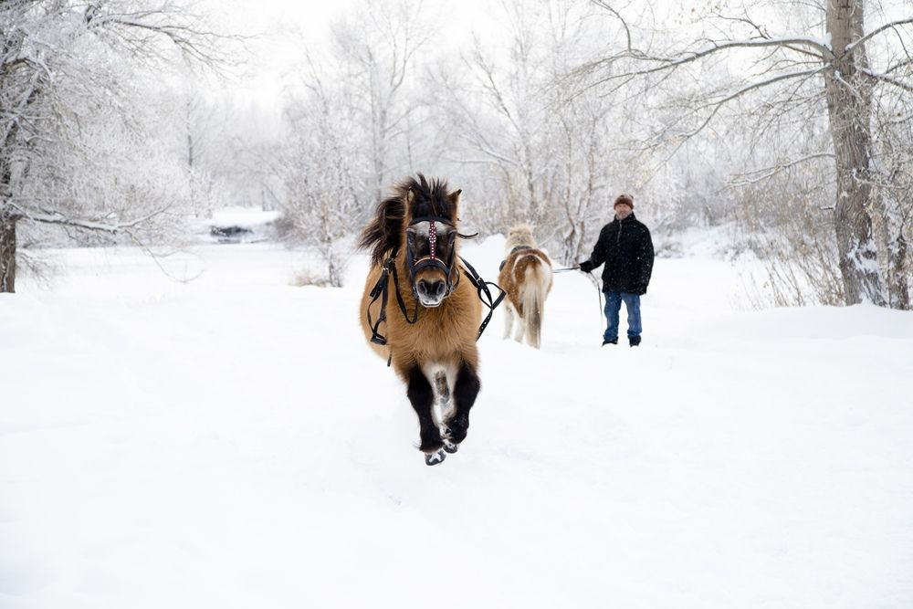 Photograph by дамир чекалин