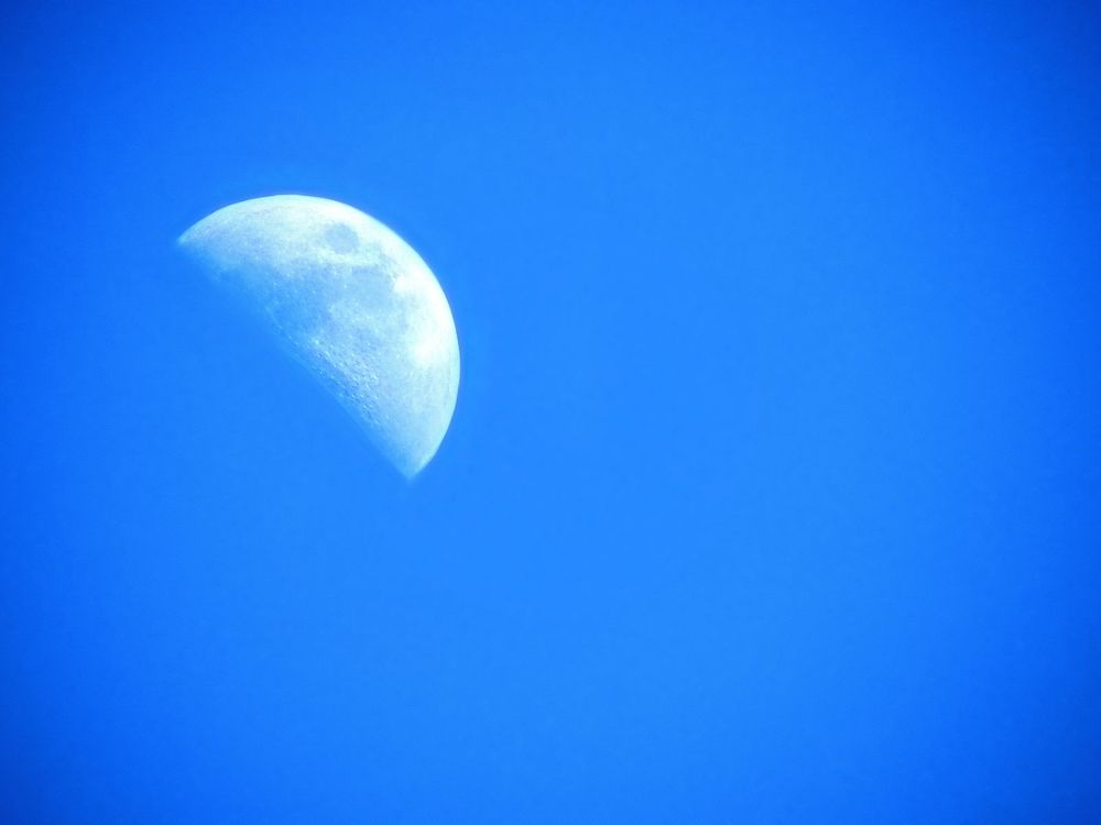 Photograph by Нина Долгова