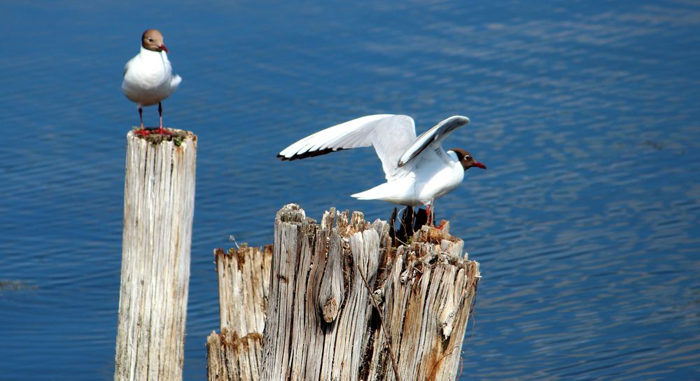 Photograph by Зоя Быкова