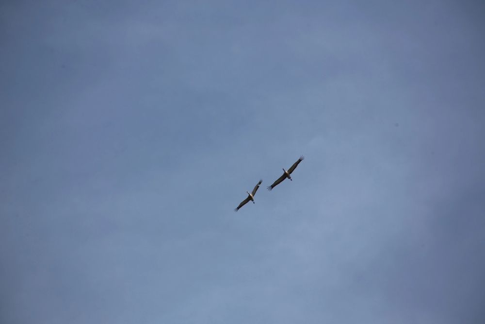 Photograph by Нина Долгова