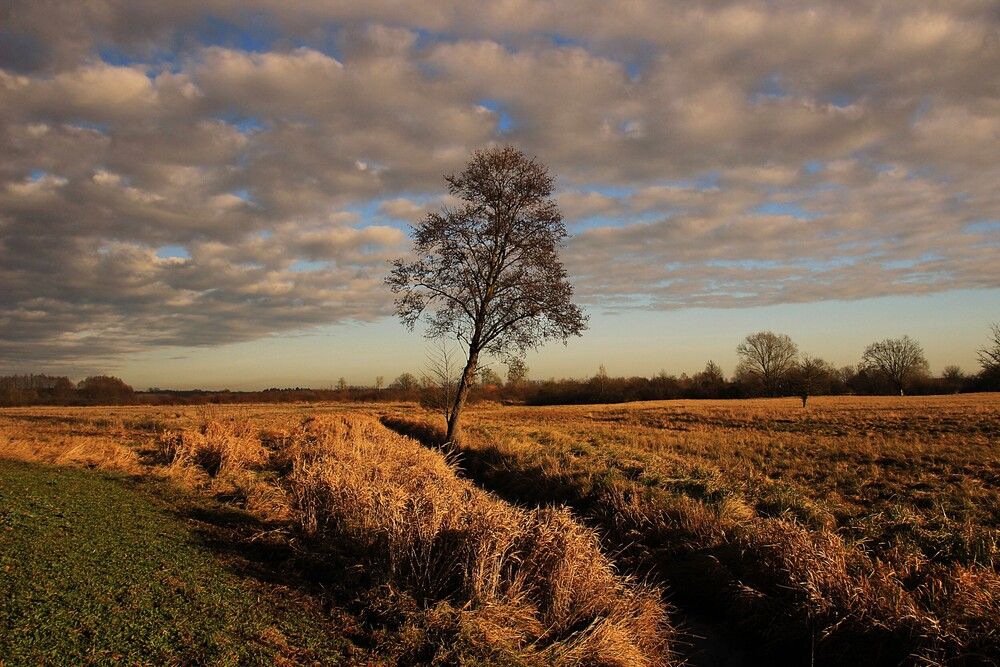 Photograph by Maciej Morgiel