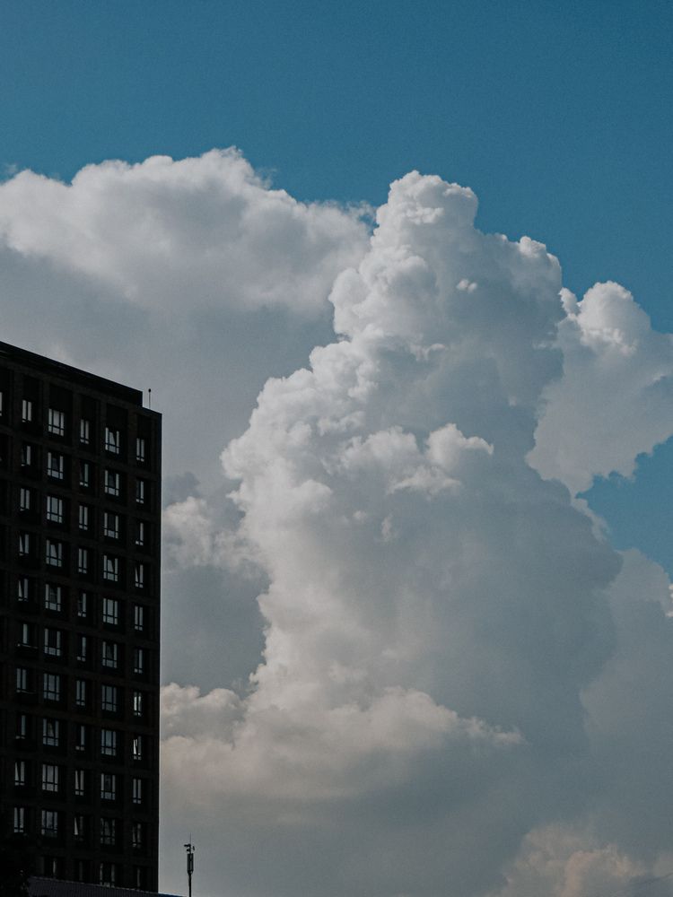 Photograph by Александра