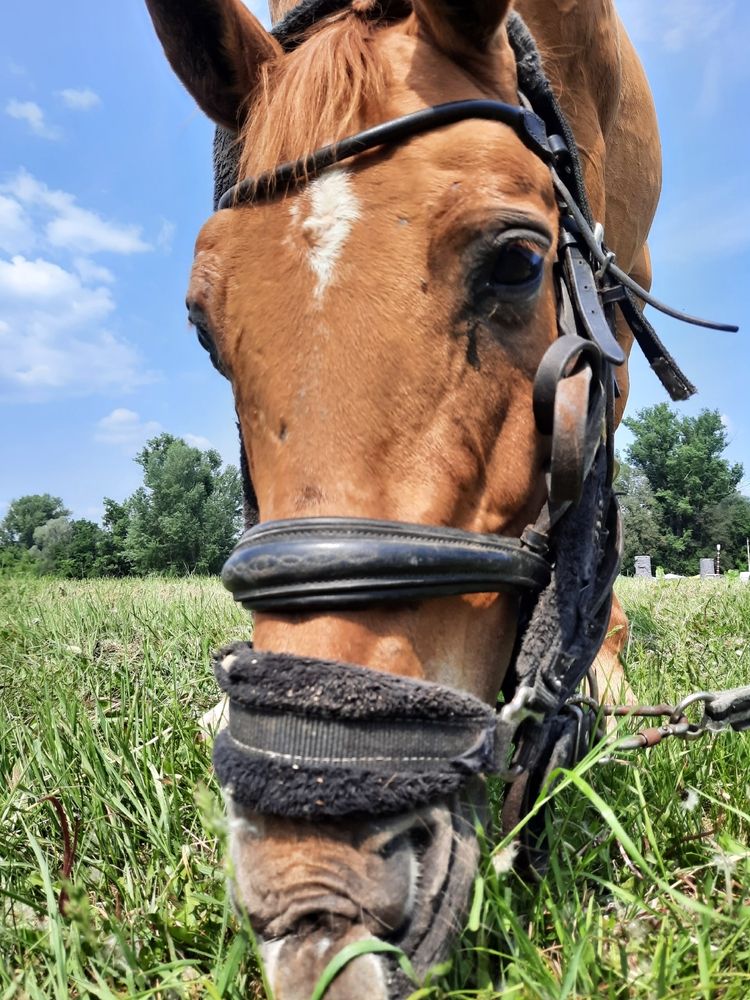 Photograph by Елена Калинина