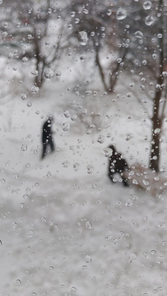 Фотография автора Наталья Шендяпина