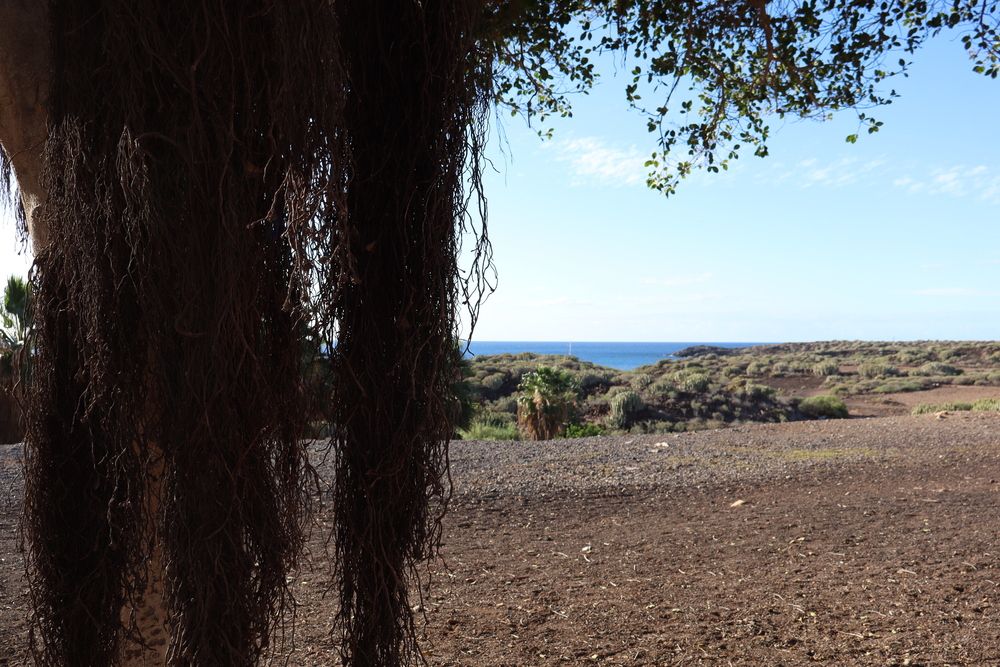 Photograph by Katiaponzini