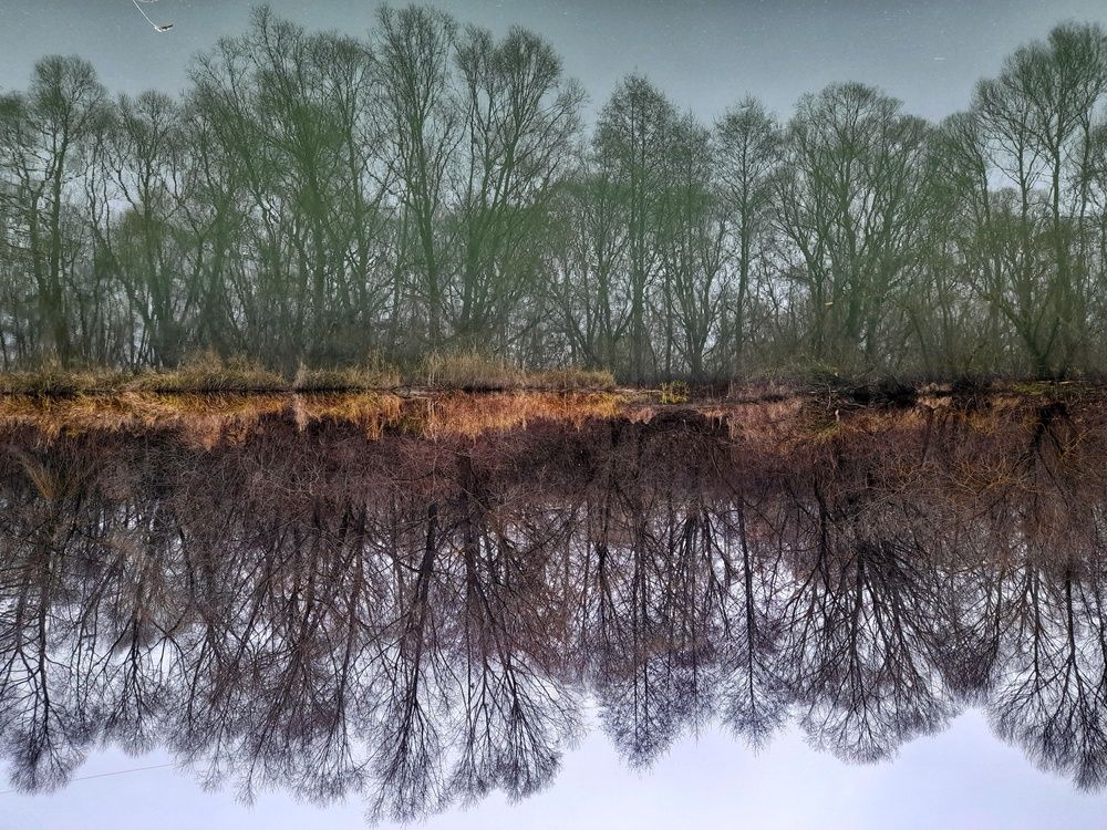 Photograph by Людмила Шумилина