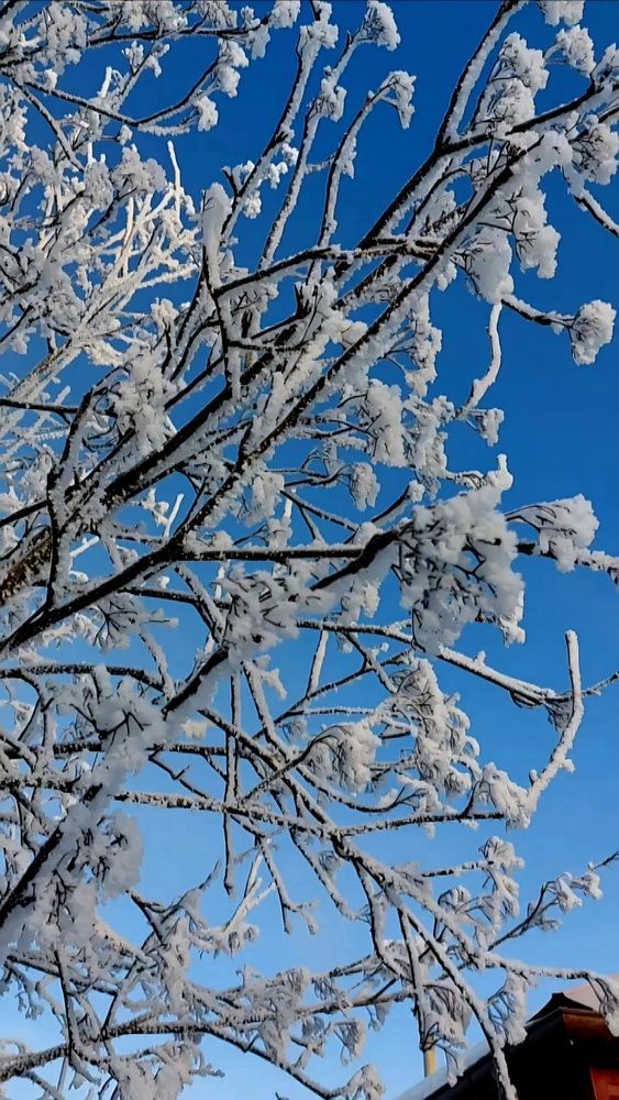 Photograph by Наталья Филянина